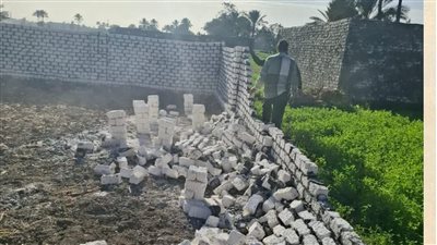 الشرقية تكثف جهودها لإزالة التعديات على الأراضي الزراعية