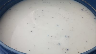 صحة المنيا: ضبط طن ألبان غير صالحة للإستهلاك الأدمي 