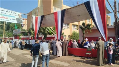 انطلاق  انتخابات النواب بالفيوم فى 3 دوائر 