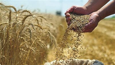 ﻣﻜﺎﺳﺐ ﻣﺼﺮﻳﺔ ﻣﻦ ﺗﺴﻮﻳﺔ اﻟﻨﺰاع اﻟﺮوﺳﻰ اﻷوﻛﺮاﻧﻰ