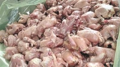  «الفراخ السردة».. سم قاتل