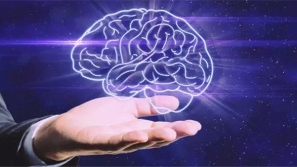 مع التقدم في العمر.. أطعمة تحمي الدماغ من التدهور