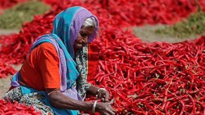 ماذا يحدث لضغط دمك عند تناول الفلفل الحار بانتظام؟