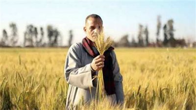 الاكتفاء الذاتى.. معركة المصريين لاسترداد الأمن الغذائى