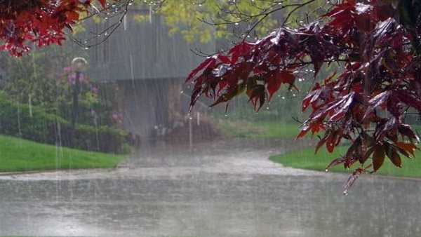 معنى حديث النبي ﷺ عن المطر أنه «حديث عهد بربه تعالى»