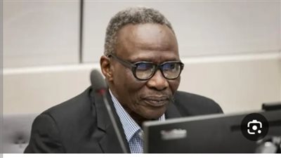 الجنائية الدولية تحكم بالسجن 20 عاما على قائد الجنجويد