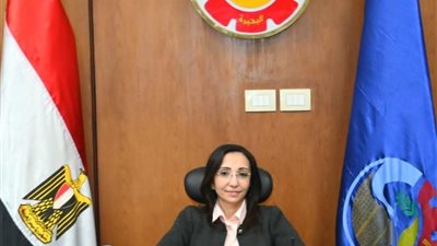 تجهيز 271 مقرًا انتخابياً بأربع دوائر في البحيرة 