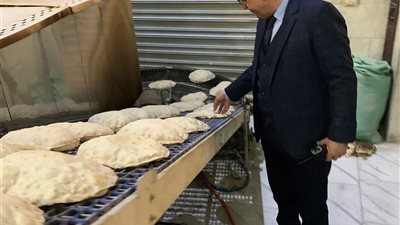  ضبط نصف طن لحم مفروم ضمن 158مخالفة خلال ثلاثة أيام بالدقهلية 