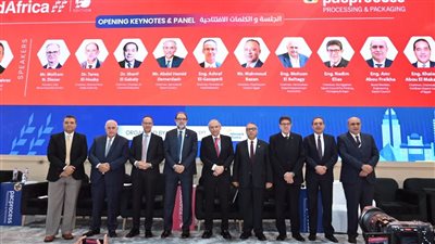 خالد أبو المكارم: قطاع الكيماويات يستهدف 9.5 مليار دولار صادرات في 2025