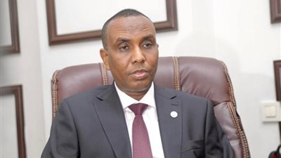 رئيس وزراء الصومال يشيد بعلاقات الصداقة مع مصر