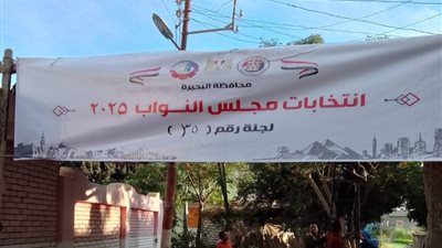 انطلاق تصويت الناخبين بالبحيرة في انتخابات الدوائر الملغاة لمجلس النواب 