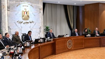 مجلس الوزراء يُوافق على استكمال إجراءات طرح محطات توليد الكهرباء بجبل الزيت