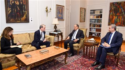 وزير الخارجية يستعرض جهود مصر والولايات المتحدة لدعم الأمن والاستقرار في الشرق الأوسط