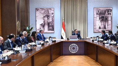 رئيس الوزراء يلتقي رئيس قسم الأصول الأساسية والبلدان الناشئة في شركة 