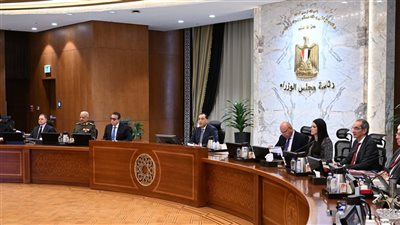 مجلس الوزراء يناقش الوسائل القانونية لتعزيز منظومة التصدي للشائعات والأخبار الكاذبة