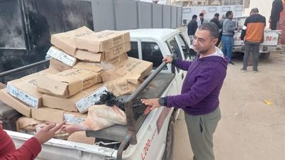 ضبط 697 كيلو لحوم وأسماك فاسدة في حملات بيطرية بالمنيا 