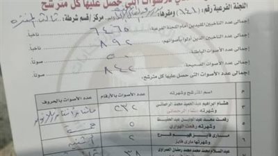 بفارق يتجاوز الـ300 صوت.. عطا سليم يتصدر نتائج اللجنة 141 بدائرة المنتزه في الاسكندرية 