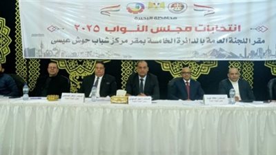 نتائج الحصر العددي في أربع دوائر انتخابية بالبحيرة