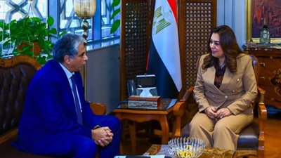وزيرة التنمية تلتقي المدير التنفيذي لمركز 