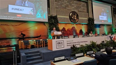 أبو سنة: مصر تدعو لتحويل الحلول البيئية إلى إجراءات قابلة للتنفيذ