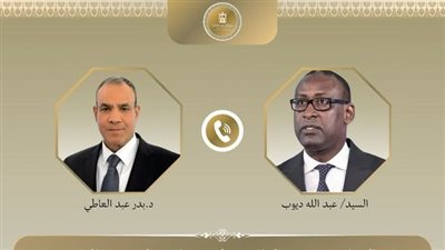 إتصال هاتفي بين وزير الخارجية ونظيره المالي