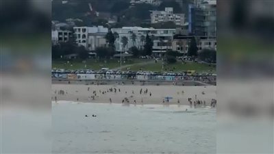 أستراليا.. إصابة 8 أشخاص إثر إطلاق نار على تجمع يهودي في سيدني 