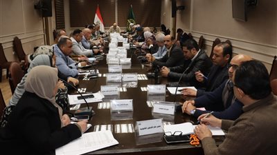 محافظ القليوبية يناقش الاستعدادات النهائية لجولة الإعادة لانتخابات مجلس النواب 2025