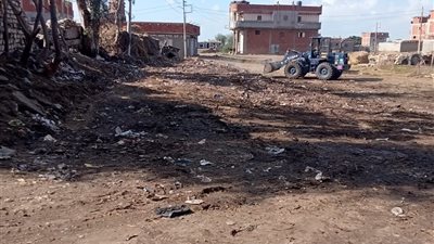 رفع 70 طن تجمعات قمامة بقرية تلبانة بالدقهلية 