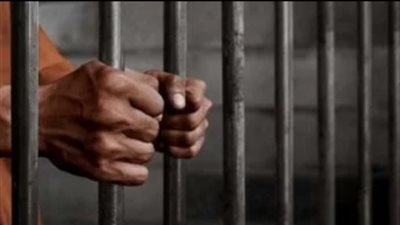 ضبط المتهمين بقتل تاجر ماشية والشروع في قتل نجله بقرية الصفاصيف في البحيرة