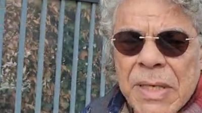 علاء ثابت يحث المصريين بالخارج على المشاركة بانتخابات النواب من أمام السفارة المصرية ببرلين