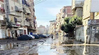 «شط جريبة».. تغرق وسط صمت المسئولين