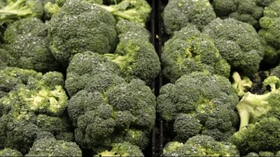 نوع شائع من الخضراوات قد يحميك من ألزهايمر