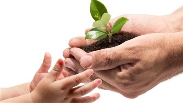 حكم كتابة أموال الكافل للطفل اليتيم المكفول