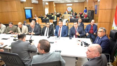 انتظام عملية التصويت داخل 795 لجنة بالدقهلية 