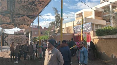 إقبال متوسط للناخبين أمام لجان الدقهلية بإعادة النواب