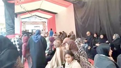 «الإدارية العليا»: لا حصانة لخطأ يهدر إرادة الناخبين