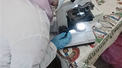 استفادة الف و 171مواطن  من القافلة الطبية المجانية في القيطون بالدقهلية 