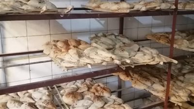 ضبط 26 مخالفة في حملات تموينية على المخابز بالفيوم 