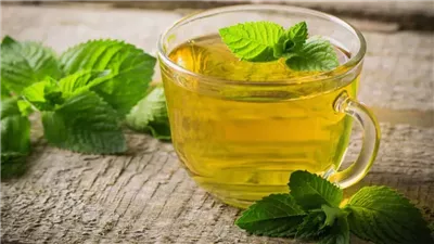 الشاي الأخضر.. مشروب لحرق الدهون وطرد السموم من الجسم