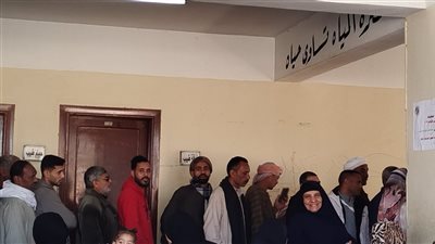 توافد الناخبين على  لجان الإعادة لانتخابات النواب في الفيوم