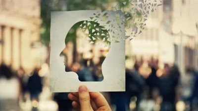 لماذا ينضج الدماغ البشري أبطأ من أدمغة القردة؟