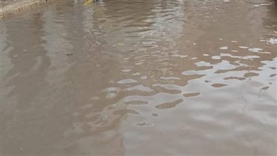 طقس شتوي بارد على أنحاء محافظة البحيرة 