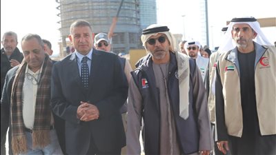 ميناء العريش يستقبل سفينة «محمد بن راشد الإنسانية»