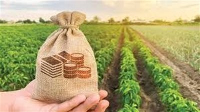 التحولات الكبرى في القطاع الزراعي المصري.. آمال وآفاق جديدة في عام 2025