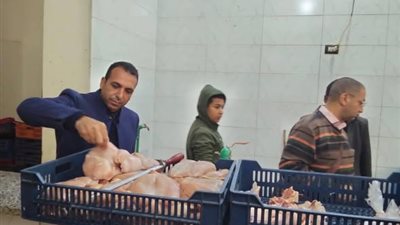 ضبط لحوم وفراخ فاسدة بالمنيا 