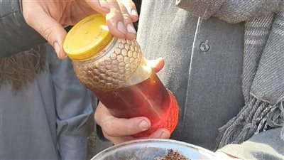 من قلب مقبرة صامتة خرجت فرحة قرية كاملة..كلمة السر في العسل