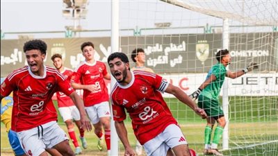 الأهلي يفوز على الإسماعيلي بهدف نظيف في بطولة الجمهورية 2007