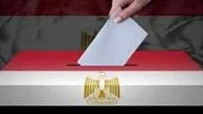  الهيئة الوطنية للانتخابات تعلن نتائج جولة الإعادة لانتخابات مجلس النواب 2025