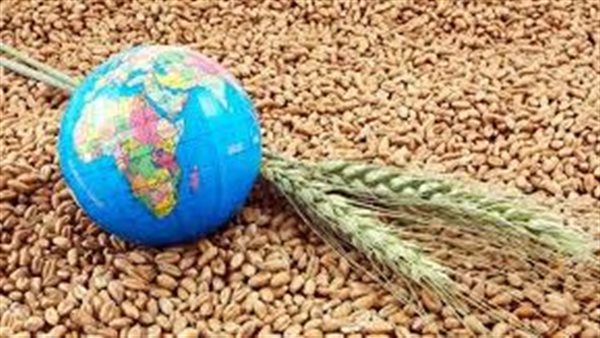 تحذيرات عالمية من تزايد انعدام الأمن الغذائي بسبب الحرب
