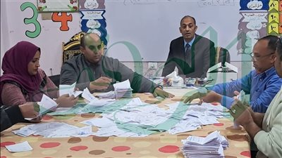 بدء أعمال فرز الأصوات بلجان دائرتي إسنا وأرمنت بالأقصر